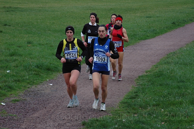 DSC_0449.JPG - BRETTEVILLEL'ORGUEUILLEUSE