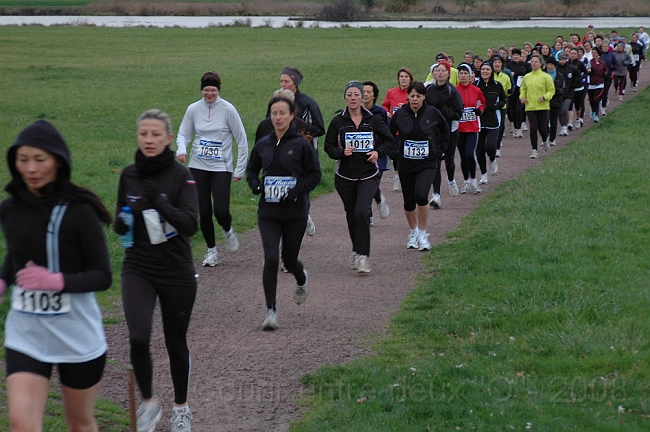 DSC_0469.JPG - BRETTEVILLEL'ORGUEUILLEUSE