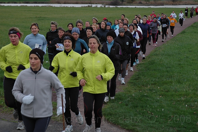 DSC_0471.JPG - BRETTEVILLEL'ORGUEUILLEUSE