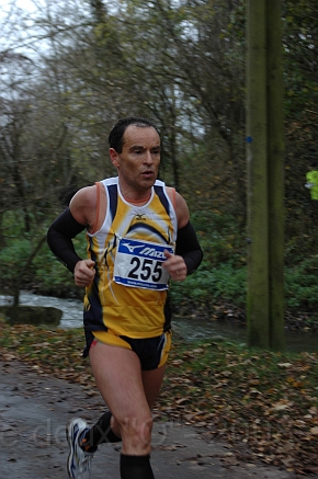 DSC_0661.JPG - BRETTEVILLEL'ORGUEUILLEUSE