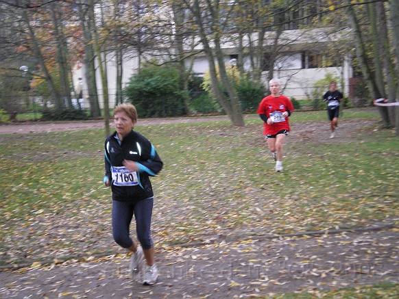 IMGP3456.JPG