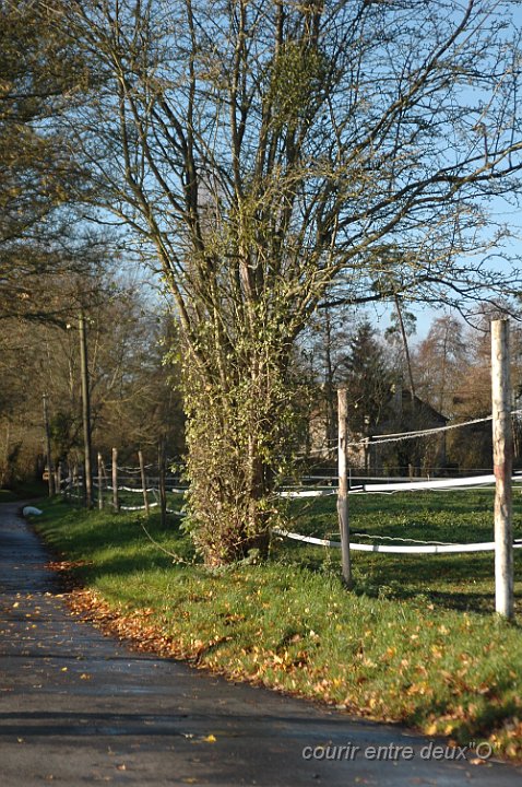 DSC_2021.JPG - BRETTEVILLEL'ORGUEUILLEUSE