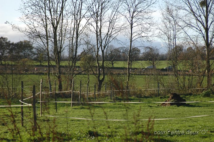 DSC_2023.JPG - BRETTEVILLEL'ORGUEUILLEUSE