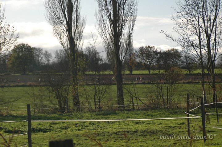 DSC_2024.JPG - BRETTEVILLEL'ORGUEUILLEUSE