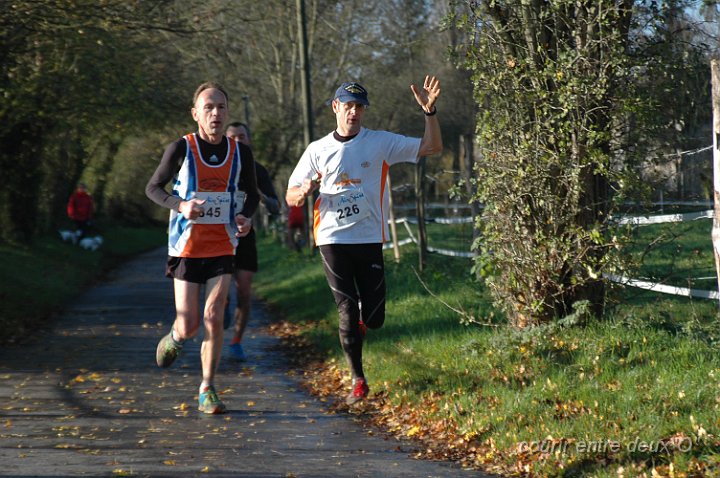 DSC_2060.JPG - BRETTEVILLEL'ORGUEUILLEUSE