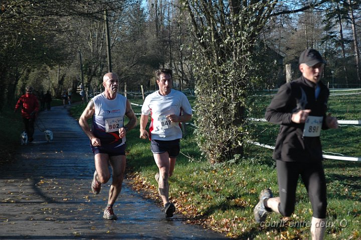 DSC_2089.JPG - BRETTEVILLEL'ORGUEUILLEUSE