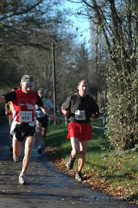 DSC_2095.JPG - BRETTEVILLEL'ORGUEUILLEUSE