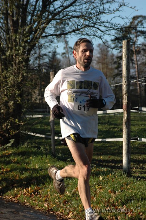 DSC_2123.JPG - BRETTEVILLEL'ORGUEUILLEUSE