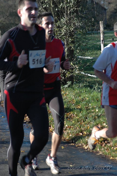 DSC_2172.JPG - BRETTEVILLEL'ORGUEUILLEUSE