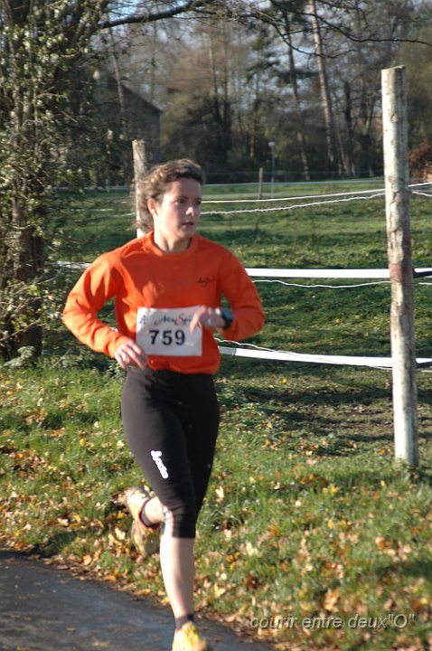 DSC_2270.JPG - BRETTEVILLEL'ORGUEUILLEUSE