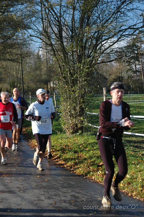 DSC_2300.JPG - BRETTEVILLEL'ORGUEUILLEUSE