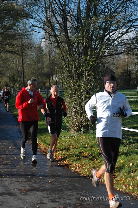 DSC_2311.JPG - BRETTEVILLEL'ORGUEUILLEUSE