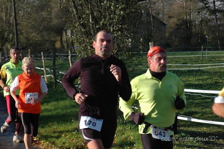 DSC_2330.JPG - BRETTEVILLEL'ORGUEUILLEUSE