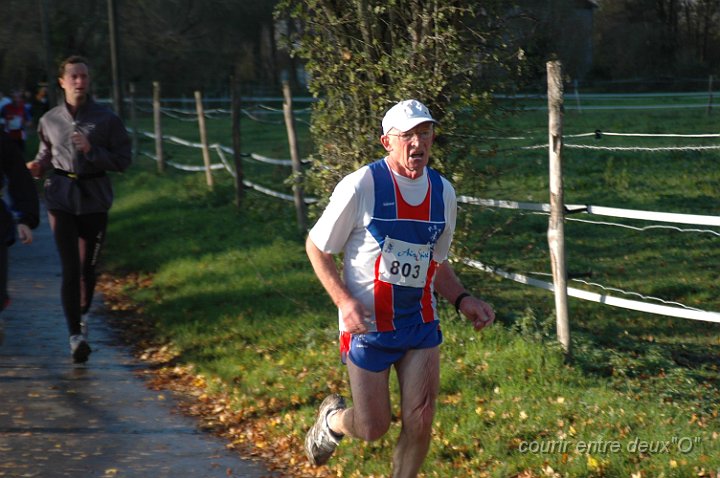 DSC_2339.JPG - BRETTEVILLEL'ORGUEUILLEUSE