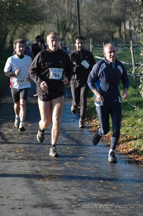 DSC_2373.JPG - BRETTEVILLEL'ORGUEUILLEUSE