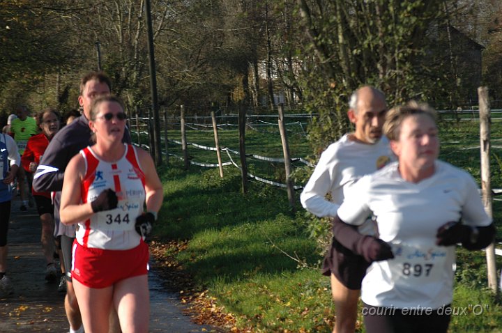 DSC_2381.JPG - BRETTEVILLEL'ORGUEUILLEUSE