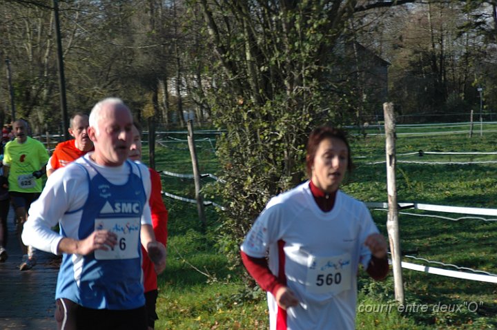 DSC_2384.JPG - BRETTEVILLEL'ORGUEUILLEUSE