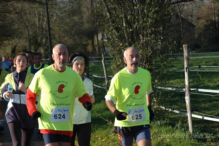 DSC_2386.JPG - BRETTEVILLEL'ORGUEUILLEUSE