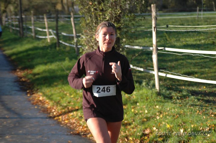 DSC_2388.JPG - BRETTEVILLEL'ORGUEUILLEUSE