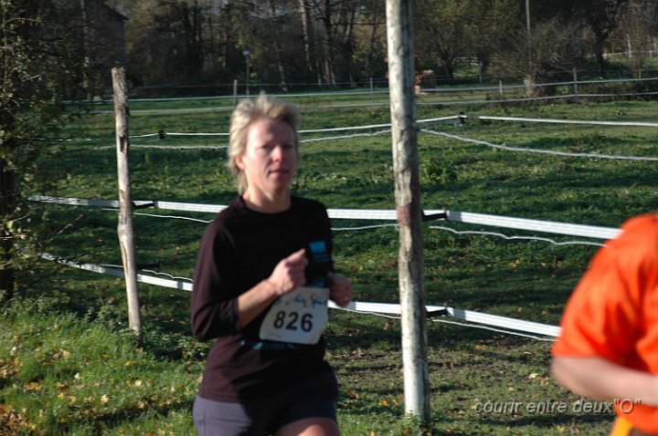 DSC_2413.JPG - BRETTEVILLEL'ORGUEUILLEUSE