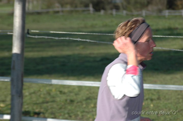 DSC_2423.JPG - BRETTEVILLEL'ORGUEUILLEUSE