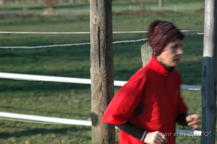 DSC_2424.JPG - BRETTEVILLEL'ORGUEUILLEUSE