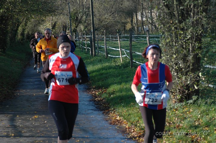 DSC_2430.JPG - BRETTEVILLEL'ORGUEUILLEUSE