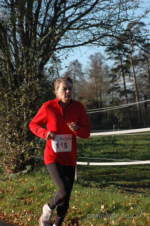DSC_2460.JPG - BRETTEVILLEL'ORGUEUILLEUSE