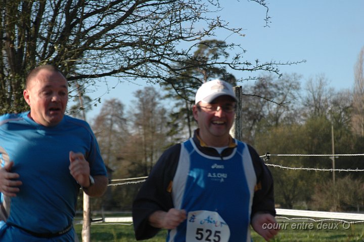 DSC_2467.JPG - BRETTEVILLEL'ORGUEUILLEUSE