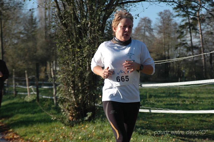 DSC_2488.JPG - BRETTEVILLEL'ORGUEUILLEUSE
