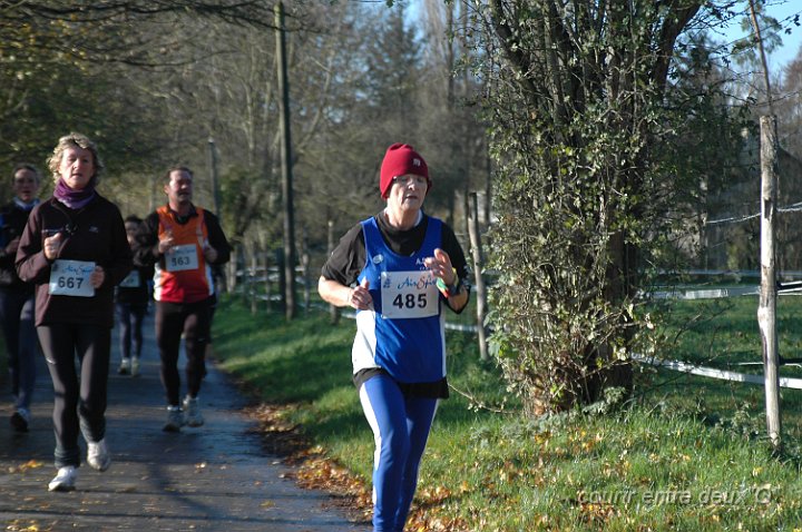 DSC_2494.JPG - BRETTEVILLEL'ORGUEUILLEUSE