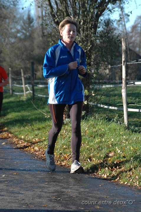 DSC_2505.JPG - BRETTEVILLEL'ORGUEUILLEUSE