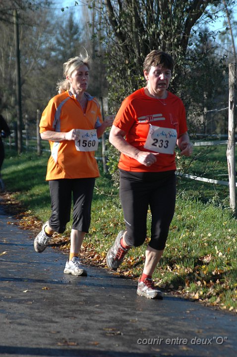 DSC_2506.JPG - BRETTEVILLEL'ORGUEUILLEUSE