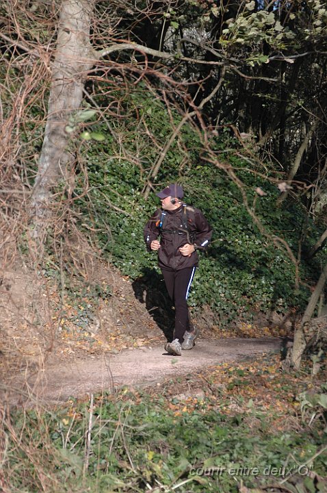 DSC_2534.JPG - BRETTEVILLEL'ORGUEUILLEUSE